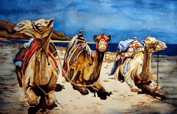 Верблюд живопись