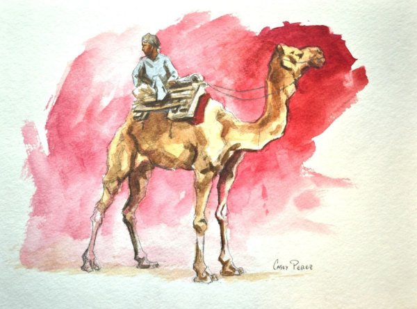 Верблюд красками