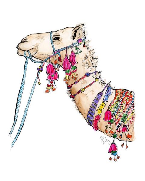 Принт верблюд