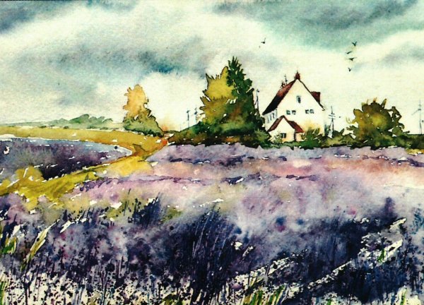 Акварельный пейзаж поле