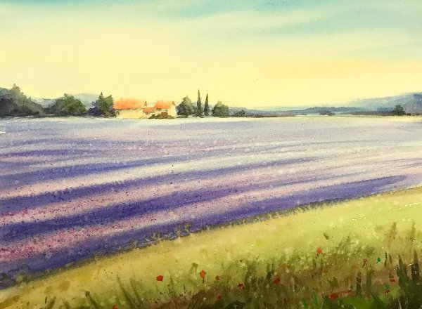 Поле акварелью