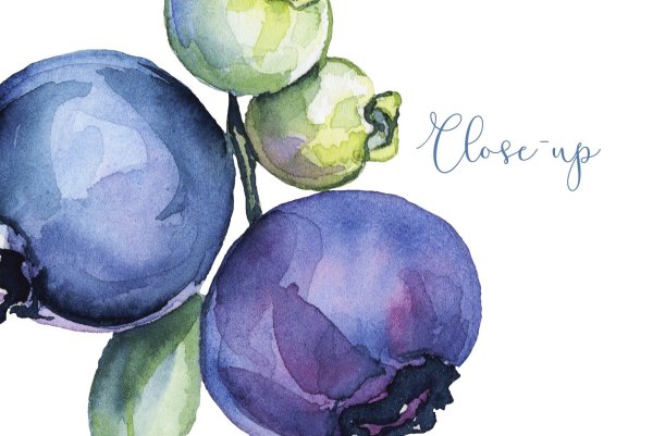 Черника гуашью