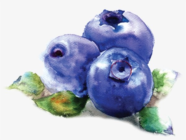 Черника гуашью