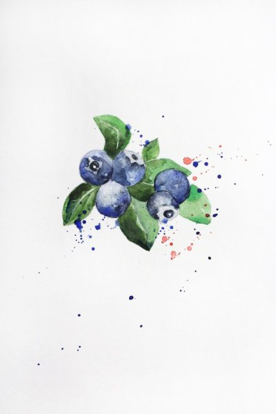 Ягода черники акварель