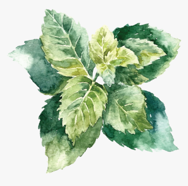 Листва акварель