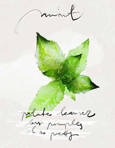 Мята акварель