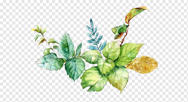 Акварельные листочки