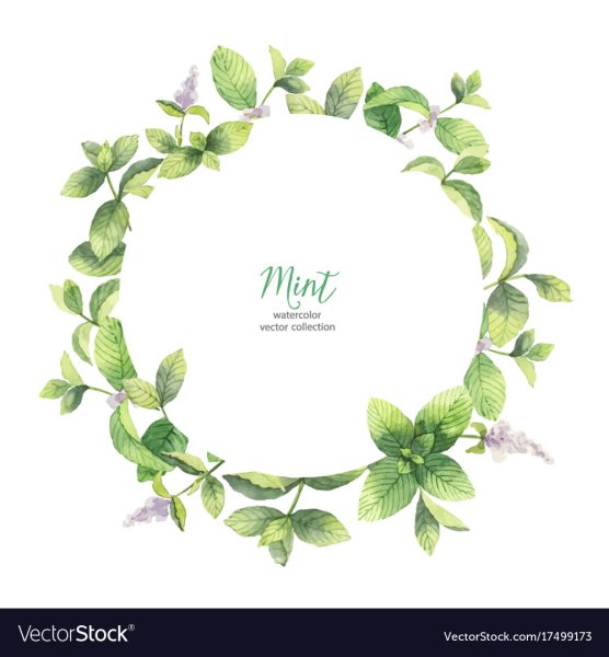 Круглая рамка с листиками мяты