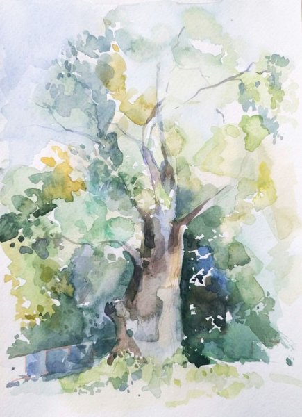 Пленэр этюды акварелью