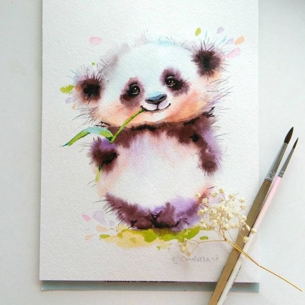 Иллюстрαтор Евгения Соловьева