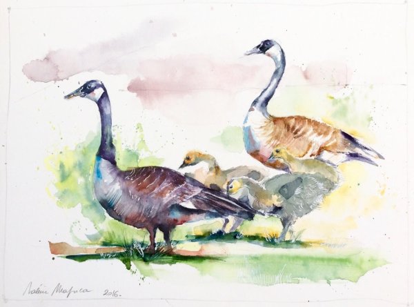 Виктория Кирдий Гусь