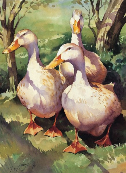 Гусь иллюстрация акварель
