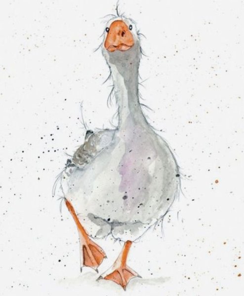 Утка акварелью