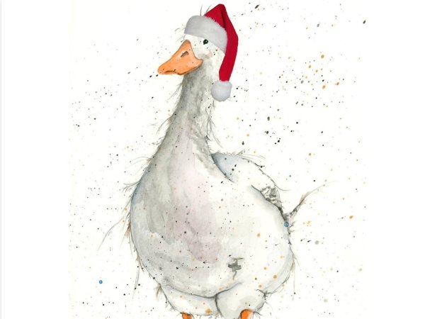 Виктория Кирдий птицы