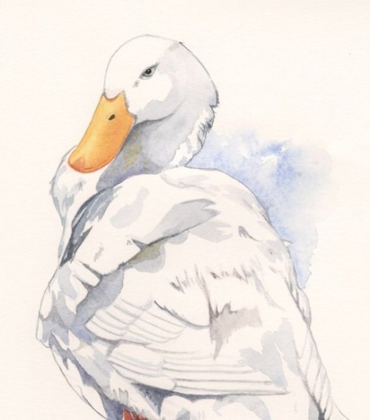 Гусь акварелью
