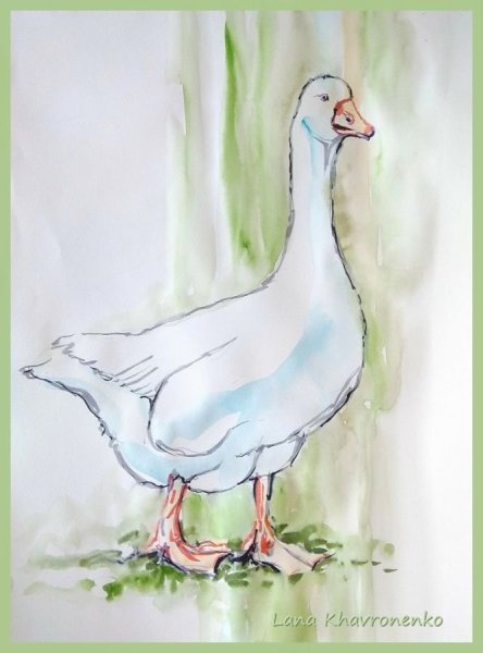 Гусь акварелью
