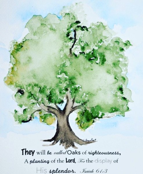 Дуб акварелью