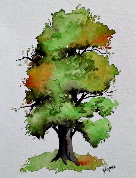 Отмывка крон деревьев акварелью