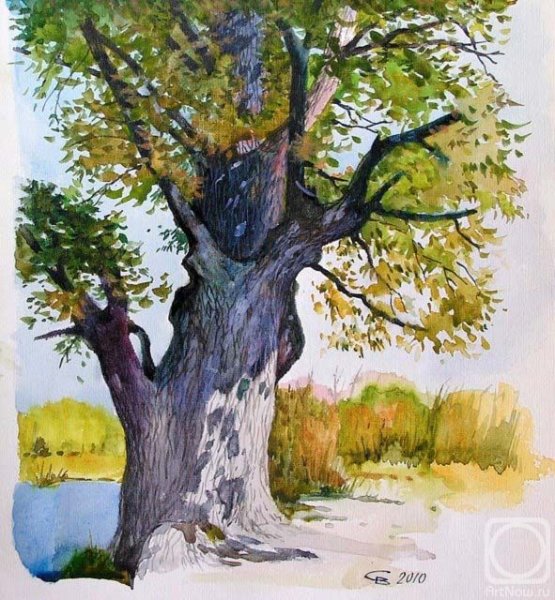 Дерево гуашью