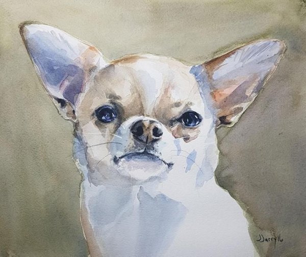 Чихуахуа акварелью