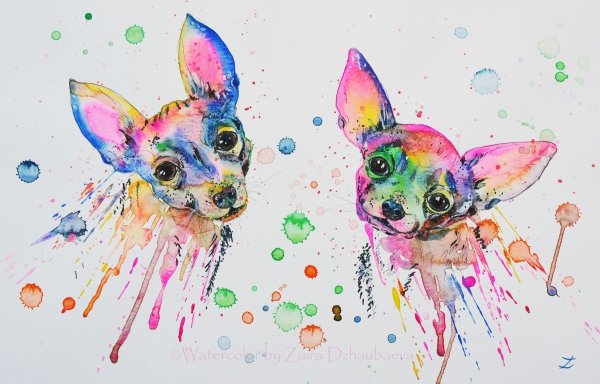 Чихуа акварель