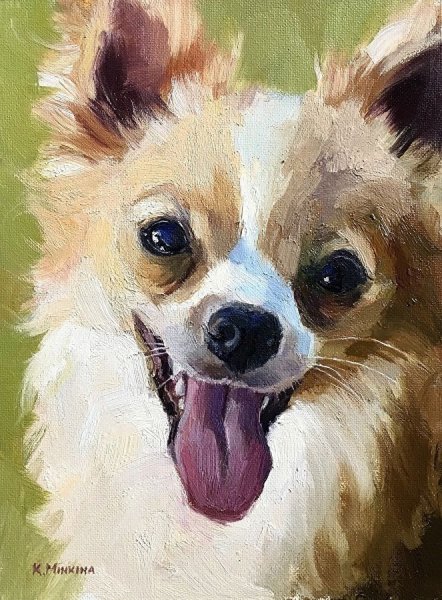 Чихуахуа картина акрилом
