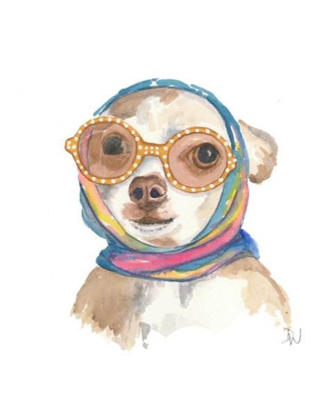 Животные в очках акварель