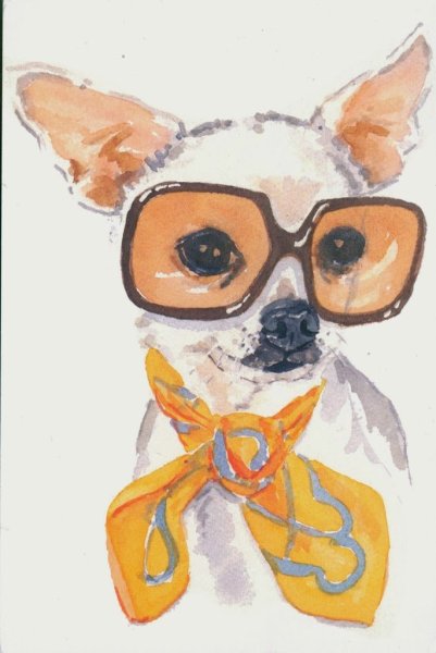 Чихуа акварель