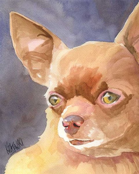 Чихуахуа рисунок гуашью
