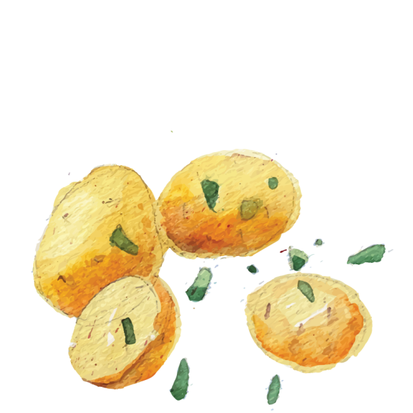 Картошка рисунок