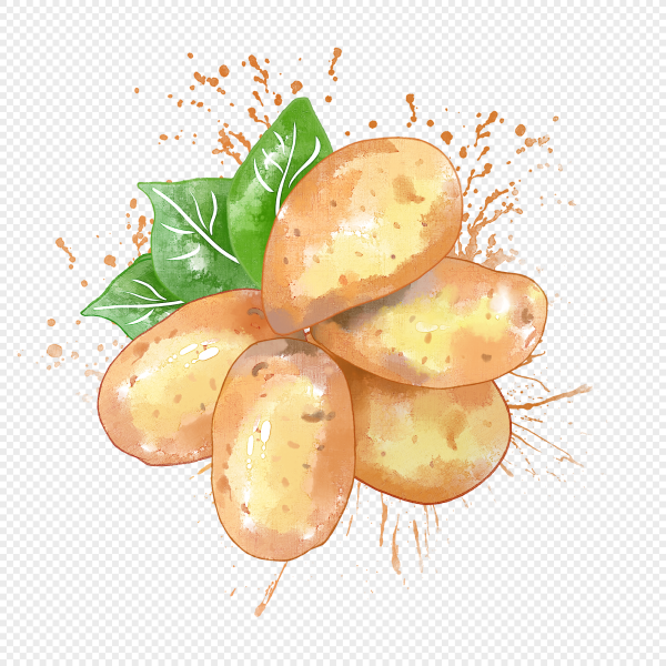 Картошка рисунок акварелью