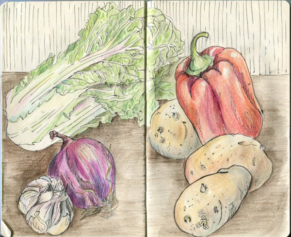 Паслен клубненосный