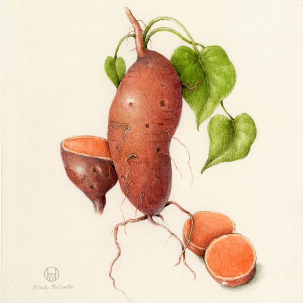 Продукты акварель