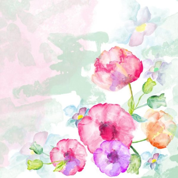 Цветы акварелью на белом фоне