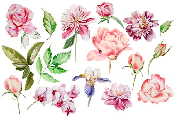 Акварельные цветы
