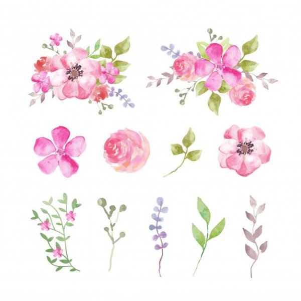 Акварельные цветы набор