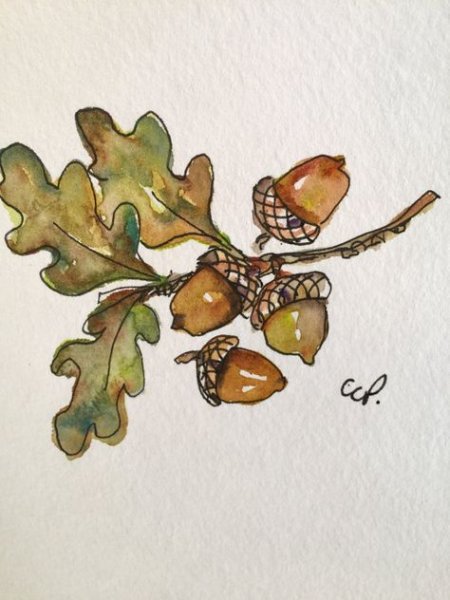 Дубовый лист цветными карандашами