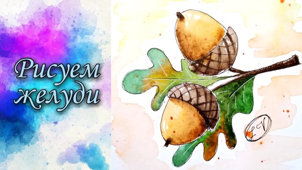 Желуди красками
