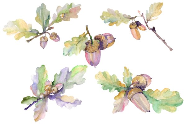 Ветка акварель