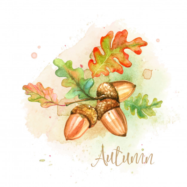 Дубовый лист акварелью