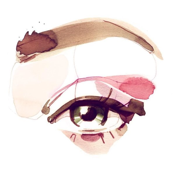 Бровист акварель