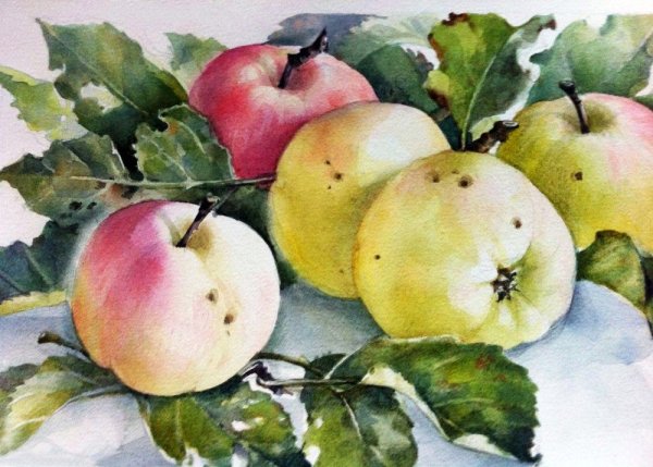 Хазова Татьяна художник акварель