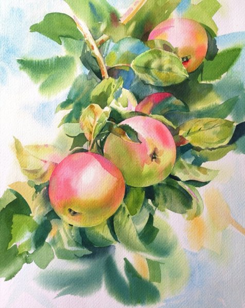 Яблоко акварелью лессировка