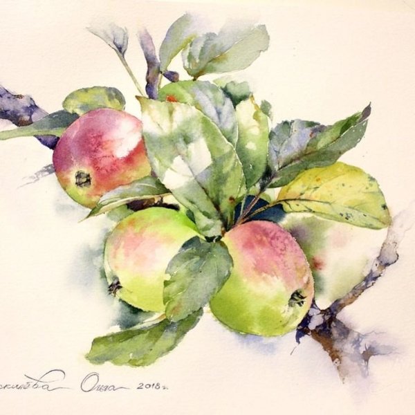 Яблоки в акварельной живописи