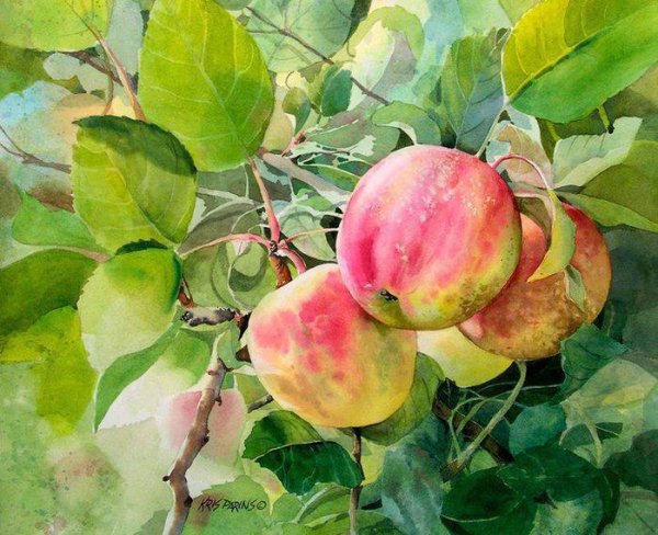 Яблоко акварелью