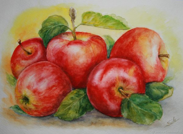 Рисование акварелью яблоки