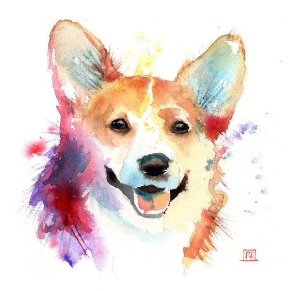 Корги акварелью