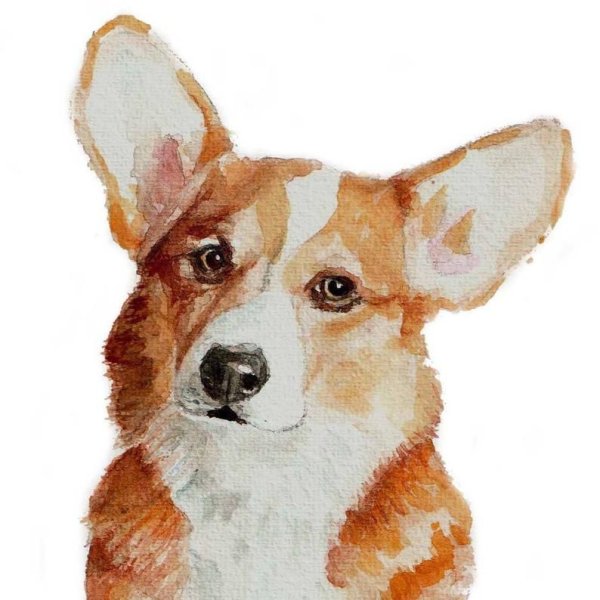 Корги пемброк арт