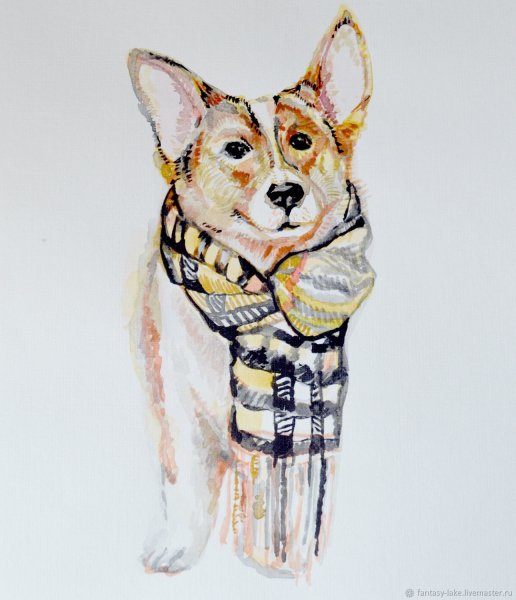 Корги акварелью