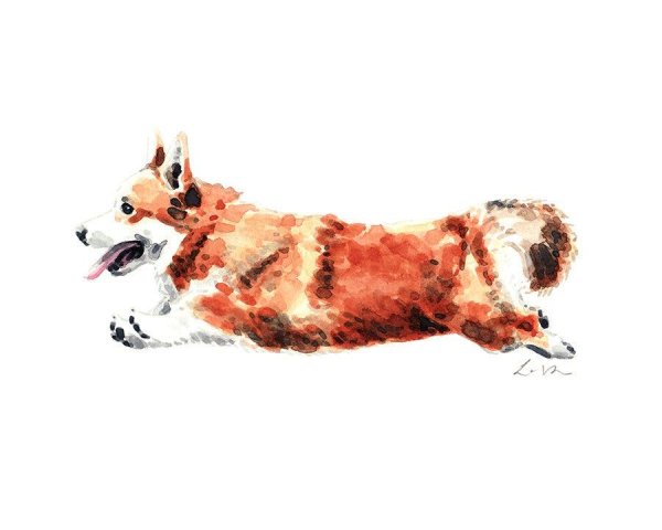 Корги из акварели